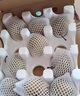 順豐湖北百里洲黃花梨砂梨現(xiàn)摘新鮮脆甜雪梨子沙梨翠冠梨送禮特產(chǎn) 順豐快遞 5斤脆甜多汁 曬單實拍圖