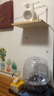 真力（Genelec） G One G1 G1B 專(zhuān)業(yè)級(jí)HIFI有源音箱 極地白 一對(duì)音箱 | G1*2+線(xiàn)纜 曬單實(shí)拍圖