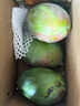 京覓四川攀枝花凱特芒 芒果凈重4.5-5斤單果400g起 新鮮水果源頭直發(fā) 曬單實拍圖