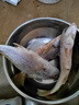 蝦有蝦途大黃魚 黃姑魚似黃花魚新鮮冷凍生鮮水產(chǎn)鮮活冰鮮海魚3斤凈重 3斤3條大黃姑魚【蒜瓣肉】 3斤3條大黃姑魚【蒜瓣肉】 曬單實拍圖