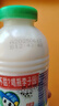 李子園甜牛奶乳飲料原味飲品225ml*20瓶學生兒童奶營養(yǎng)早餐奶整箱黑五 曬單實拍圖