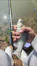 初構(gòu)想伊勢(shì)尼串鉤五鉤套裝釣組魚(yú)鉤海釣防纏繞鉛墜全套爆炸鉤海竿鯽魚(yú)鉤 伊勢(shì)尼5號(hào)鉤10g鉛墜+鈴鐺 【5套】 曬單實(shí)拍圖