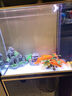 森森（SUNSUN）大型魚缸底過濾水族箱客廳家用落地玻璃生態(tài)金魚缸 【實(shí)時(shí)溫顯+燈控】經(jīng)典黑 0.8米長(zhǎng)35cm寬 曬單實(shí)拍圖