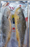 三都港 冷凍三去大黃魚凈重2斤/2條裝 寧德黃花魚 生鮮魚類 燒烤 曬單實拍圖