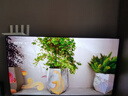 海信電視小墨E5Q Pro 55英寸 超畫質(zhì)U+Mini LED 信芯芯片 柔光防眩屏 288Hz高刷 E5NPRO升級 國家補貼 曬單實拍圖