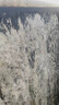 中央空調(diào)外機(jī)滌塵空調(diào)翅片清洗劑室外機(jī)散熱片冷凝清潔劑免拆免洗 空調(diào)清潔劑5斤/【提升制冷速度】 曬單實(shí)拍圖