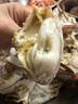 【活蟹】鮮活梭子蟹大螃蟹浙江舟山冰鮮飛蟹花蟹生鮮蟹類中秋禮盒 3斤裝【5-6只】（鮮活打氧發(fā)貨） 曬單實(shí)拍圖