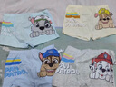 汪汪隊立大功（PAW PATROL）兒童內(nèi)褲男中小童平角褲A類棉小孩四角短褲寶寶內(nèi)褲PA1813  100 曬單實拍圖