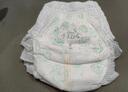 五羊（FIVERAMS）小輕風(fēng)嬰兒成長褲XL碼34片（12-17kg）尿不濕透氣夜用不悶 曬單實拍圖