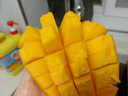 山姆伯伯 凱特芒果【多地次日達(dá)】攀枝花新鮮芒果水果海南芒果水果禮盒 5斤裝【較劃算-20%人選】?jī)?.5斤 【清甜 | 3A精選級(jí)】單果250-300g+ 曬單實(shí)拍圖