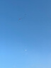 瓦克（WACKER）OS結(jié)構(gòu)膠建筑密封膠門窗裝配玻璃膠中性室內(nèi)外通用耐候硅膠黑色 曬單實拍圖