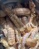 海鮮世家油炸風(fēng)味大號皮皮蝦300g肉質(zhì)飽滿椒鹽調(diào)味聚餐海鮮蝦爬子 曬單實拍圖