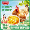 魯爺爺?shù)霓r(nóng)場(chǎng) 老母雞新鮮現(xiàn)殺山林散養(yǎng)土雞現(xiàn)抓原糧飼喂母雞 黃油老母雞 凈重2.3-2.4斤/1只 曬單實(shí)拍圖
