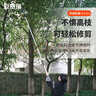 安賽瑞 高枝剪 可伸縮修枝鋸 4.5米高空采荔枝龍眼省力摘果剪刀 5J00443 曬單實(shí)拍圖