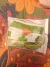 星舵狗狗寵物牽引繩貓咪外出花邊雙條胸背帶遛狗博美小型泰迪犬狗繩子  牽引繩【嫩綠色-印花雙條-S】 曬單實拍圖