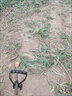創(chuàng)一電動(dòng)割草機(jī)充電家用手持打草機(jī)鋰電草坪機(jī)割灌機(jī)農(nóng)用除草機(jī) 強(qiáng)勁款5節(jié)雙電 曬單實(shí)拍圖