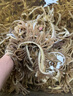 潮夫道冷藏黑毛肚2斤川渝火鍋食材麻辣燙牛毛肚牛百葉生鮮固形物60% 曬單實(shí)拍圖