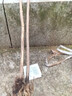 釋迦果苗樹(shù)嫁接臺灣鳳梨釋迦苗特大牛奶釋迦番荔枝林檎南方果樹(shù)苗 鳳梨兩年苗+牛奶兩年苗【共2棵】 50cm(含)-60cm(不含) 曬單實(shí)拍圖