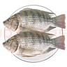 環(huán)球水產(chǎn)三去羅非魚(yú)2.8斤/共4條 免處理去鱗去鰓去內(nèi)臟 魚(yú)類(lèi) 曬單實(shí)拍圖