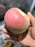 2025年嘎啦蘋(píng)果新鮮應當水果脆甜青紅富士小蘋(píng)果冰糖心丑蘋(píng)果整箱 3斤 精選大果【單果70mm+】 曬單實(shí)拍圖