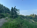 迪卡儂客廳帳篷戶外露營(yíng)遮陽(yáng)擋風(fēng)防曬遮熱遮光Fresh米白色10人4272606 曬單實(shí)拍圖