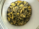 南同四海胎菊搭胎菊中藥材特正級(jí)品桐鄉(xiāng)產(chǎn)胎菊菊花茶護(hù)火肝去熱清野菊花茶 曬單實(shí)拍圖