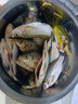 龍王恨魚餌藍鯽青春版腥香餌料江河湖庫野釣鯽魚鯉魚草魚鳊魚餌料魚食 藍鯽·青春版-腥香(300g/包)*5 曬單實拍圖