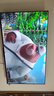 飛利浦（PHILIPS）50英寸4K超高清智慧全面屏 高頻調(diào)光護(hù)眼 遠(yuǎn)場(chǎng)AI語(yǔ)音智能液晶平板電視機(jī)50PUF7590/T3 國(guó)家補(bǔ)貼15% 曬單實(shí)拍圖