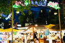 尼康（Nikon）24-50 24-70 24-120 50-250 二手微單鏡頭Z卡口全畫幅變焦 Z DX 16-50 F3.5-6.3銀色 單鏡頭【套餐更劃算】 曬單實拍圖