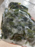 新鮮裙帶菜嫩葉火鍋三秒菜鹽漬裙帶菜葉嫩芽海帶湯涼拌菜食材免切 新鮮裙帶菜嘗鮮裝500g 免切裙帶菜葉 曬單實(shí)拍圖