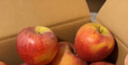 儲褚正宗陜西秦冠蘋(píng)果 粉面沙甜蘋(píng)果 新鮮水果整箱順豐包郵 凈重4.5斤大果【約9-10枚順豐】 曬單實(shí)拍圖