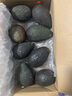 山姆伯伯云南哈斯牛油果【多地次日達(dá)】進(jìn)口牛油果嬰兒新鮮水果禮盒 【80%選擇】?jī)?yōu)選果丨101-130g 8枚【蕞劃算】80%回購(gòu)選擇 曬單實(shí)拍圖