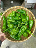 云南油麥菜約500g 曬單實(shí)拍圖
