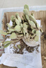意軒多肉植物 肉肉盆栽組合套裝 老樁辦公室內(nèi)耐干旱懶人綠植花 熊童子老樁(約28片葉子) 曬單實拍圖