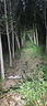 ACEBEAM  E75四核心高效率平頭LED強光充電手電筒防水露營戶外爬山遠射版 沙色-CREE XP-LR 6500K 圓形平頭LED 聚光超亮遠射 曬單實拍圖