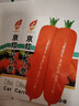 九寸三紅胡蘿卜種子水果蔬菜蘿卜菜籽脆甜春秋季四季田園蔬菜種子 九寸參胡蘿卜種子 5包約1500粒 曬單實拍圖