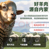 月盛齋【冰鮮】內(nèi)蒙鮮切羊上腦200g 火鍋食材清真 中華老字號 曬單實拍圖