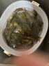 NOW FRESH無谷小型犬四葉草顆粒全犬幼犬狗糧 6磅/2.72kg 新鮮效期 曬單實拍圖