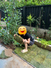 草坪真草帶土矮生馬尼拉草皮百慕大果嶺草耐寒四季常青庭院綠化苗 庭院專用草坪成品草皮1平方帶土 10cm以下 曬單實(shí)拍圖
