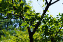 唯卓仕（VILTROX）AF 56mm F1.7 E索尼口大光圈自動對焦人像定焦鏡頭適用于a6400 FX30 a6700 ZV-E10II微單相機 曬單實拍圖