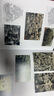 【全新現(xiàn)貨】Art and Artistic Thinking in Ancient China / 古代中國藝術與藝術思維｜［美］貝格利（Robert Bagley）、王海城 著 曬單實拍圖