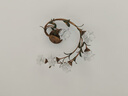 子曼美式鄉(xiāng)村復(fù)古臥室吸頂燈創(chuàng)意個(gè)性法式餐廳燈中古藝術(shù)書(shū)房燈具8511 6頭吸頂燈 水晶燈罩【送7W LED三色燈泡】 曬單實(shí)拍圖