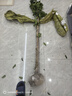 原生桂花樹(shù)苗高桿桂花大樹(shù)庭院地栽濃香型金桂丹桂盆栽四季桂花苗 金桂 3公分1.5-1.7米高全冠幅當(dāng)年開(kāi)花 曬單實(shí)拍圖