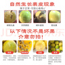 京地達廣西欽蜜9號黃金百香果 凈重5斤單果60-70g/35-42個 源頭直發(fā)包郵 曬單實拍圖