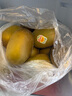 佳沛（zespri）新西蘭  陽(yáng)光金奇異果25-27粒原箱特大果單果約122-146g  獼猴桃 曬單實(shí)拍圖