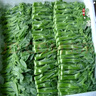 鹿凌青農(nóng)家新鮮中花芥蘭菜應(yīng)季蔬菜廣東芥蘭芥藍(lán)好吃下飯菜發(fā)順豐 【順豐】泡沫箱加冰袋（偏細(xì)） 【精選中小蘭】4斤 曬單實(shí)拍圖