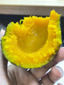 京喜加惠和1號貝貝南瓜新鮮蔬菜生鮮減肥減脂早餐沙拉單果100g起 嘗鮮 500g 帶箱 曬單實拍圖