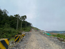 堔銳腳踏自行車黃油山地車碗組軸承保養(yǎng)潤滑油機(jī)械零件珠架防銹潤滑脂 通用型黃油1個(gè) 曬單實(shí)拍圖