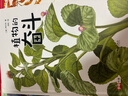 DK探索百科 生命精裝加厚英國DK公司  兒童人體身體植物動物昆蟲記等科普大百科全書5-12歲植物觀察畢竟二十四節(jié)氣法布爾昆蟲記中國植物 中小學(xué)生課外閱讀 植物的奮斗 曬單實(shí)拍圖