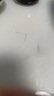 安貝兒嬰兒金銀花清涼爽身粉136g 寶寶痱子玉米粉新生嬰幼兒童清涼舒爽 曬單實(shí)拍圖